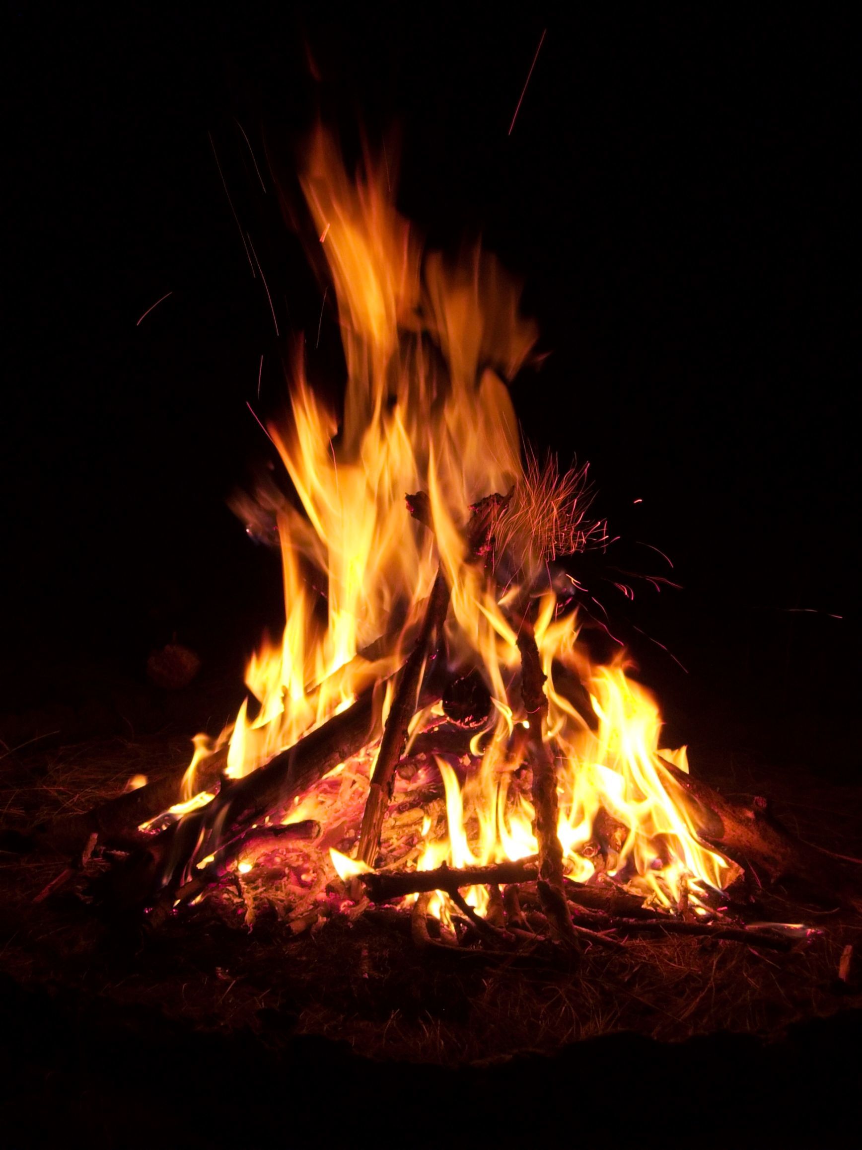 1979197 - flames of a campfire in the night
